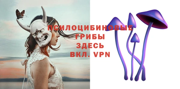 дурь Липки