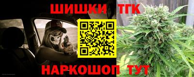 индика Аргун