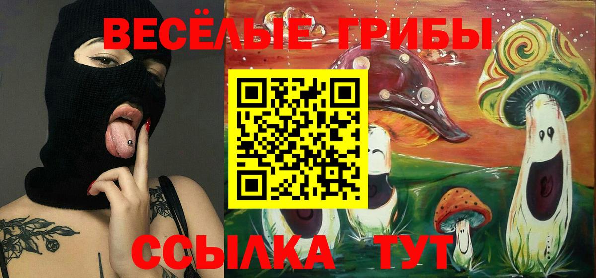 что такое   Галлюциногенные грибы Psilocybe  Вход с VPN  Псилоцибиновые грибы Psilocybe  Волгодонск 