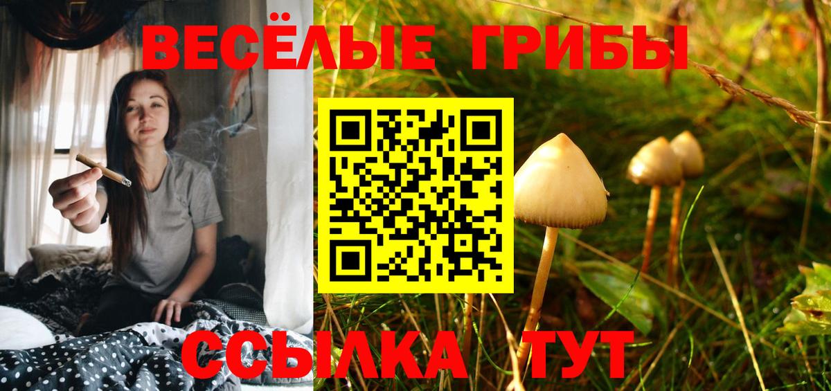 цены   Волгодонск  Псилоцибиновые грибы Cubensis  Галлюциногенные грибы мицелий 